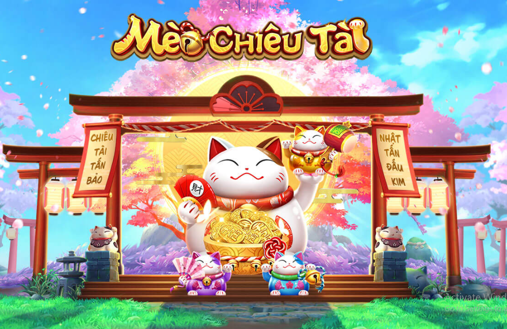 Mèo chiêu tài SV88