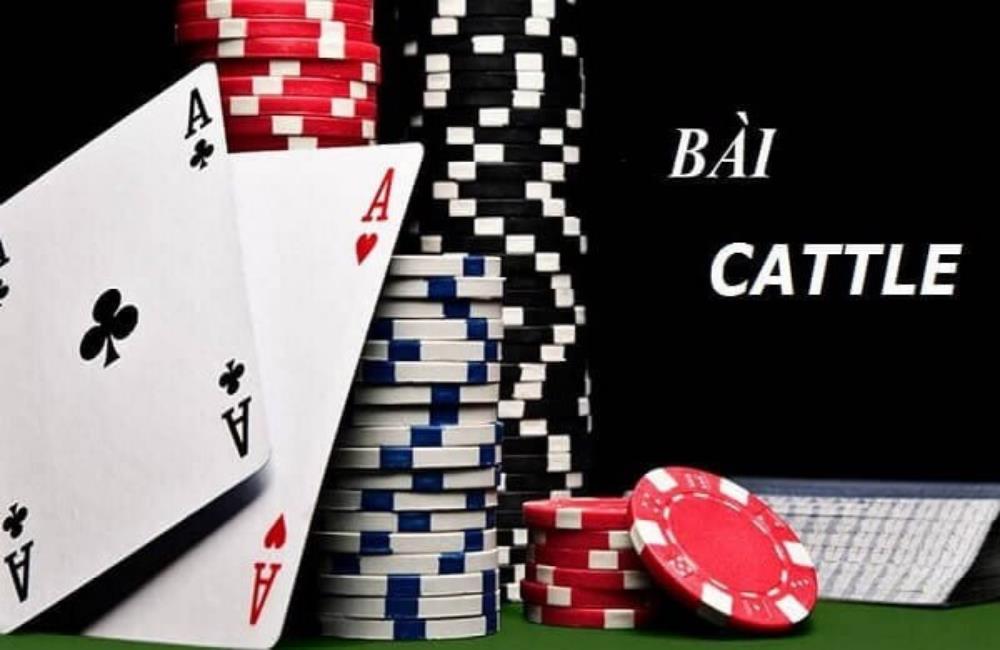 Catte SV88
